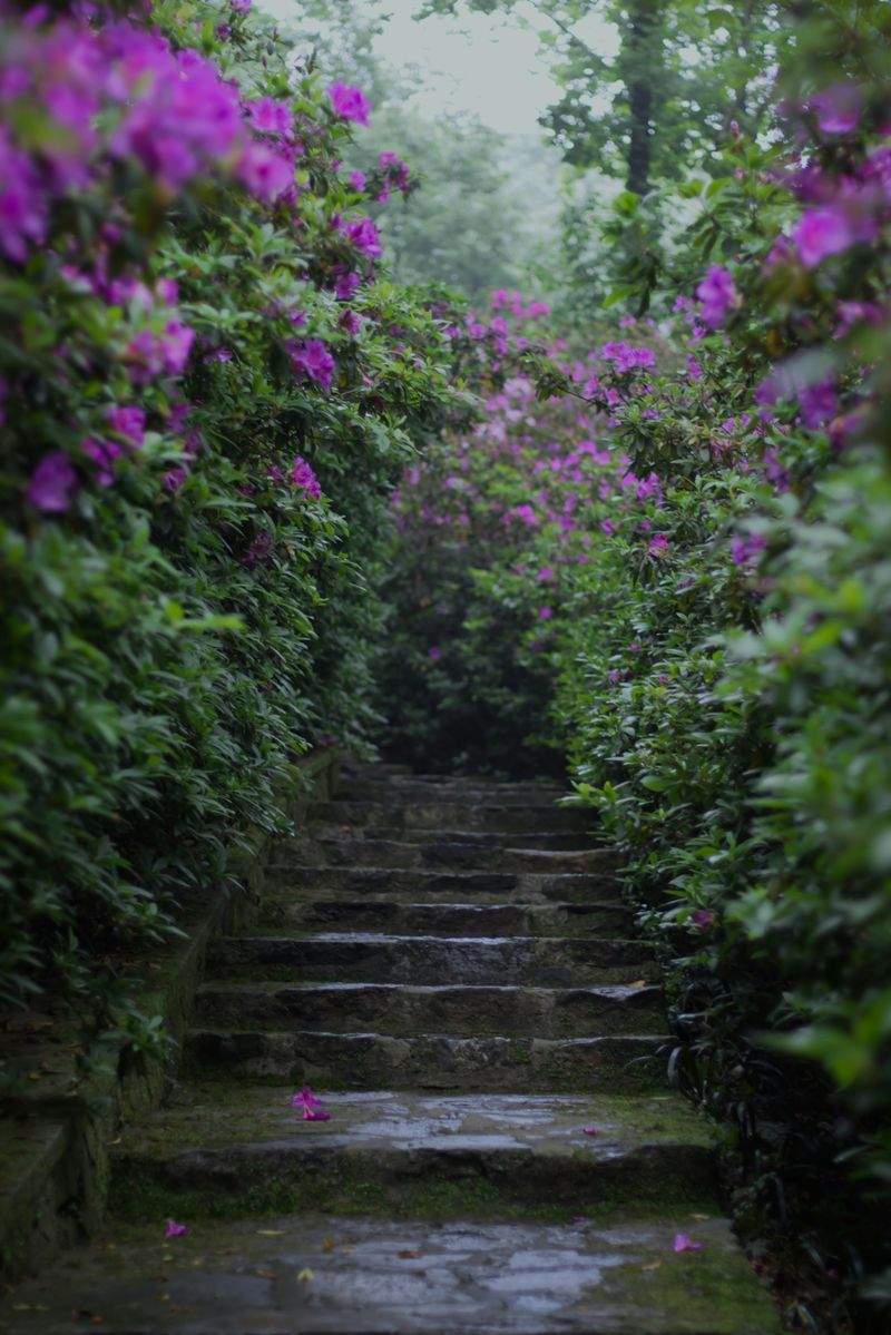 Cómo preparar tu jardín para la primavera