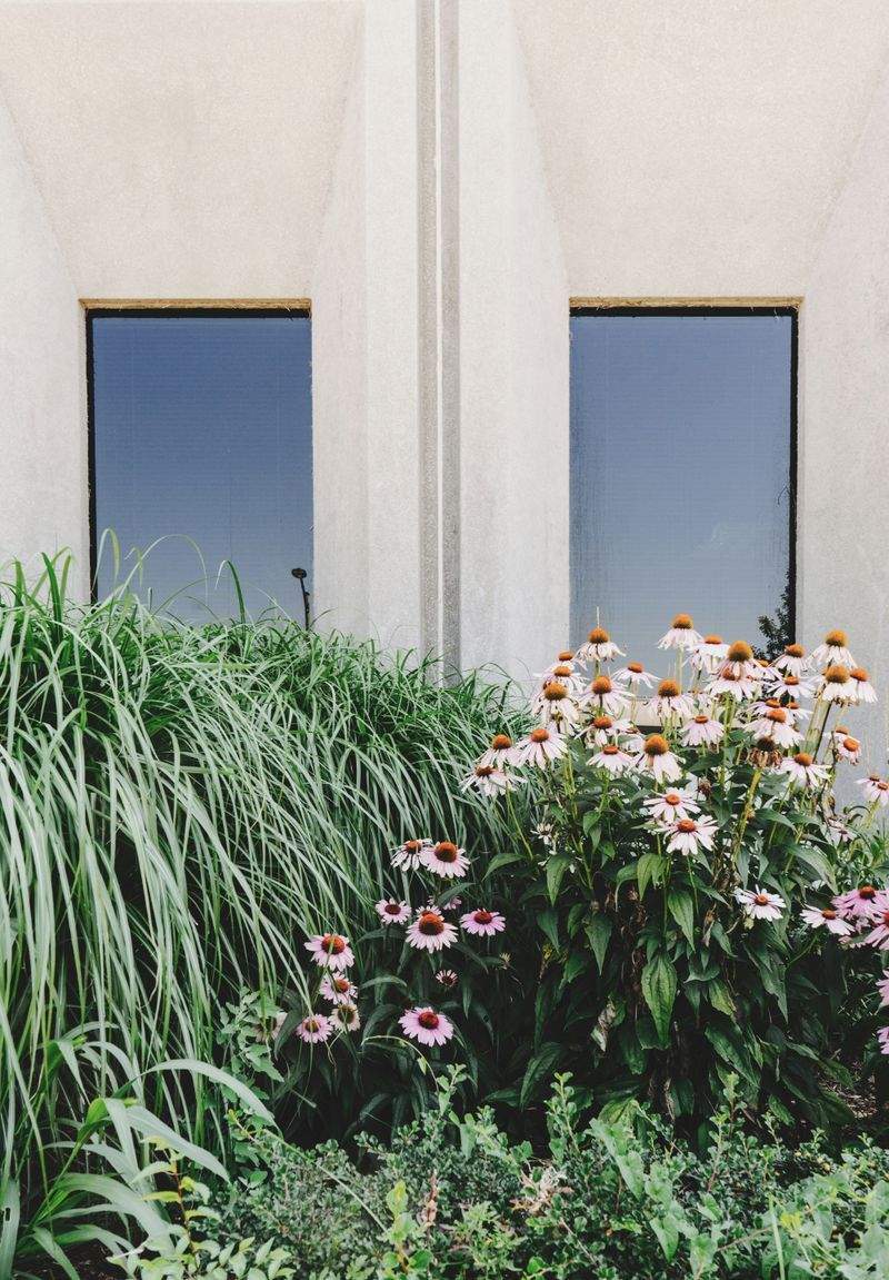 Beneficios de contar con un servicio profesional de jardinería