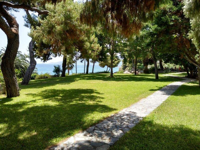 Jardines Verdemar SP 1