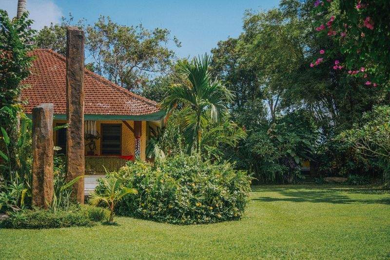 Jardines Verdemar SP 11