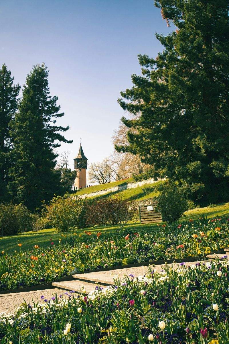 Jardines Verdemar SP 4