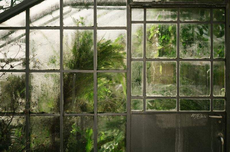 Jardines Verdemar SP 5