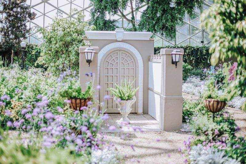 Jardines Verdemar SP 9