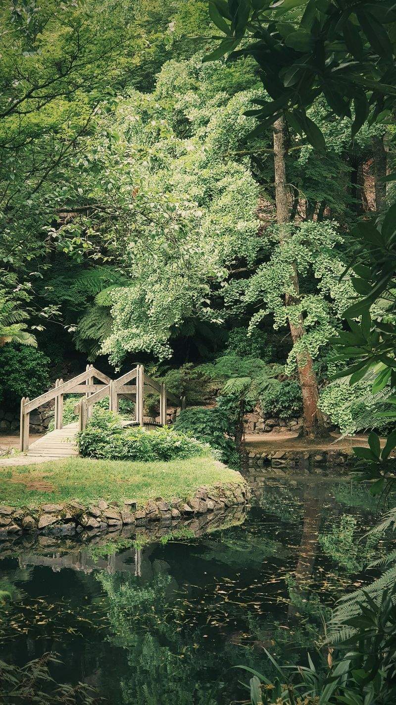 Jardines Verdemar SP