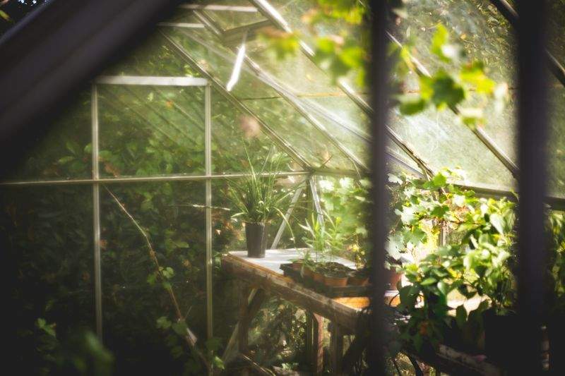 Jardines Verdemar SP