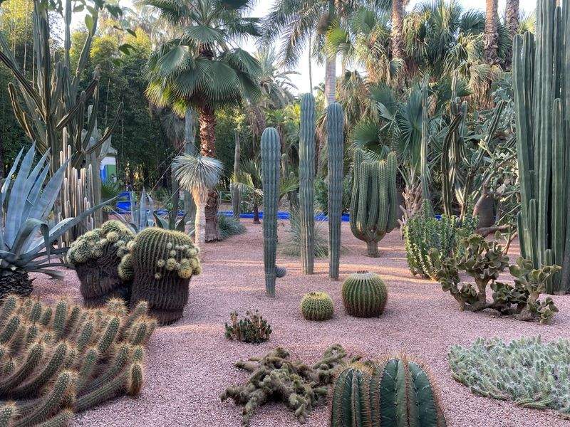 Poda de árboles, arbustos y setos
