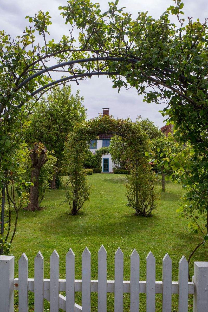 Plantación de flores, césped y plantas ornamentales